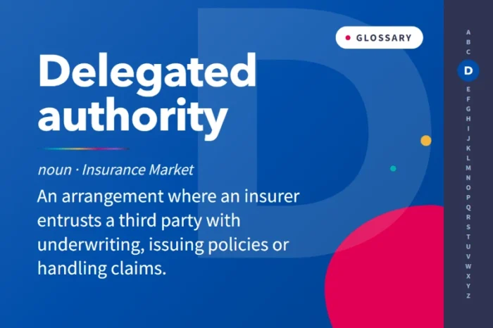 What is a Delegated Authority?
