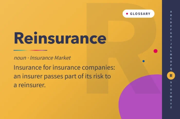 What is Reinsurance?