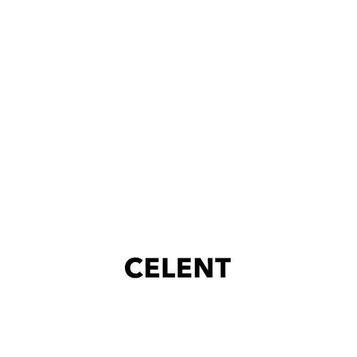 Celent Technology Standout