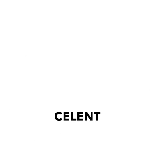Business Partner of the Year