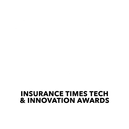 Technology Champion of the Year