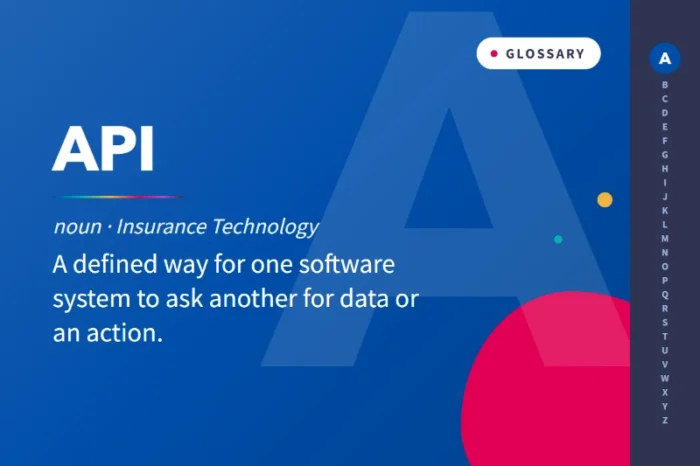 What is an API in Insurance?